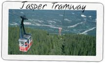 jasper live webcam|Jasper, Alberta Web Cams in the Canadian Rockies